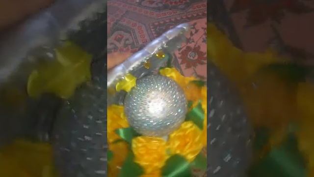 Черноморские ракушки смотреть онлайн