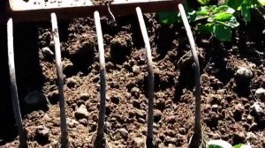 Грабли для культиватора (прополка картофеля).