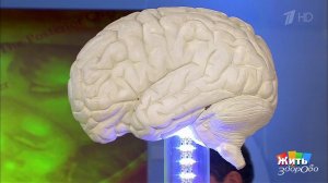 Тест для двоих - графестезия. Жить здорово! Фрагмент выпуска от 20.10.2017