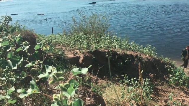 ШЕВИ НИВА ВОЛГОГРАД АХТУБА СЕНТЯБРЬ 2016 смотреть онлайн