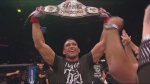 Fabricio Werdum