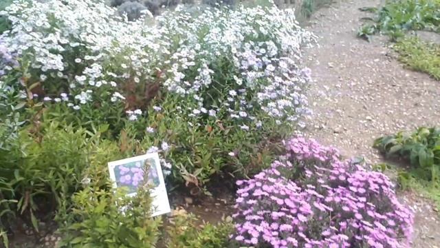 КРЫМ МАССАНДРОВСКИЙ ДВОРЕЦ,ПАРК,САД АРОМАТОВ,ОЧЕНЬ МНОГО ТУРИСТОВ ВО ДВОРЦЕ.ЯЛТА ОКТЯБРЬ2021 смотреть онлайн