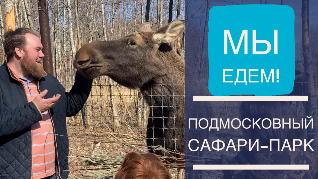 Подмосковный сафари