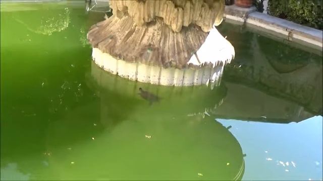1 Серия  Таррагона  Кафедральный Собор