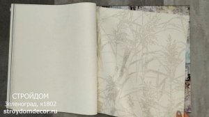 Обои Erismann Amazonica