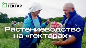 Растениеводство на «гектарах» в Приморье