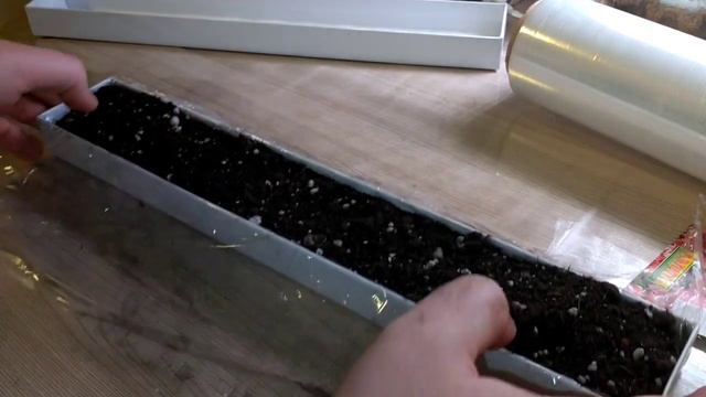 Посадка петунии "Дуэт" F1. смотреть онлайн