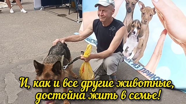 24 июля успешно прошла акция - выставка для пристройства бездомных животных! "ВОЗЬМИ ДРУГА ДОМОЙ "
