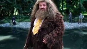 Жизнь Рубеуса Хагрида ⚡️ГАРРИ ПОТТЕР⚡️