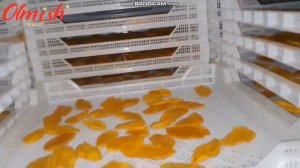 Манго Слайсы на Сушку