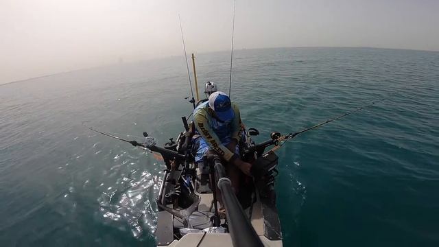 Dubai Fishing - Kingfish Strikes (screaming drags) on live bait Kayak Fishing Dubai on Hobie PA14 смотреть онлайн