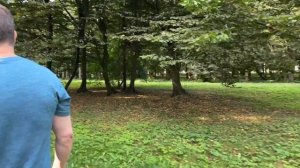 НЕ ОБИЖАЙТЕСЬ НА КРИТИКУ / АРИНА БЕЛАЯ