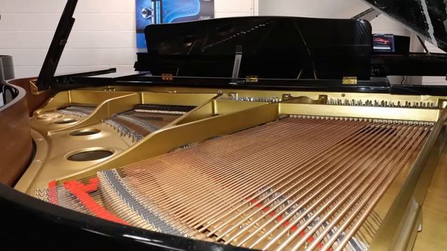 Kawai GE-1A 5" Baby Grand Piano - Ebony Polish смотреть онлайн