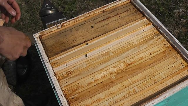 расширение семей 24 апреля варианты