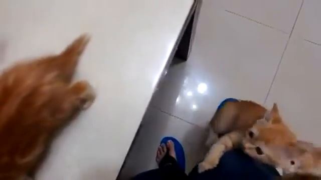 Подъёмник для рыжих смотреть онлайн