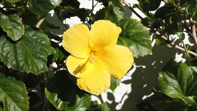 1 минута на Гавайях 7 смотреть онлайн