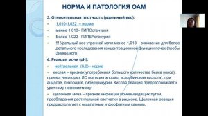 Строение и физиология почки.  Кунгурцева М. Ю.