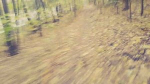 Серебряный бор - беговой маршрут на 5 километров