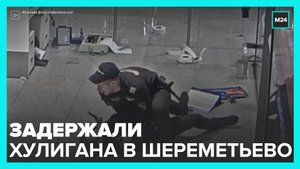 Сотрудники полиции задержали дебошира в Шереметьево - Москва 24
