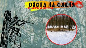 Охота с засидки на оленя! (Tree Stand)   Это Провал!