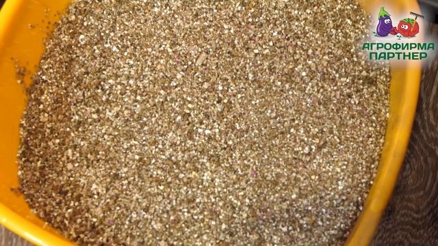 ОСОБЕННОСТИ ПЕРЕСАДКИ РАССАДЫ ПЕРЦЕВ смотреть онлайн