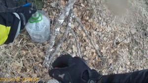 Suzuki XF650 Freewind поездка за берёзовым соком))