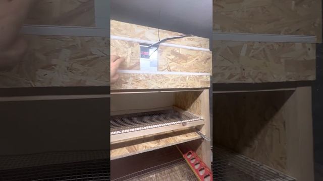 Инкубатор своими руками, брудер и клетка для перепелов три в одном. Полное видео