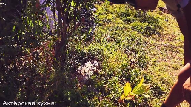 Вкус горного ручья на высоте 1700 метров над уровнем моря смотреть онлайн