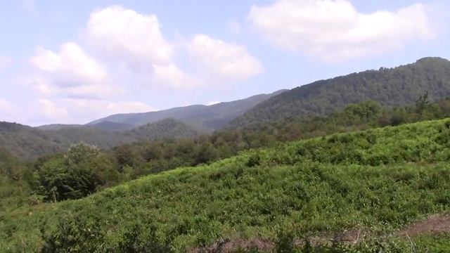 31_07_2018-год_ВОДОПАДЫ У СЕЛА СЕМЁНОВКА_СОЧИ.mp4 смотреть онлайн