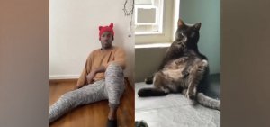 Куча приколов , смотрим и улыбаемся !!))