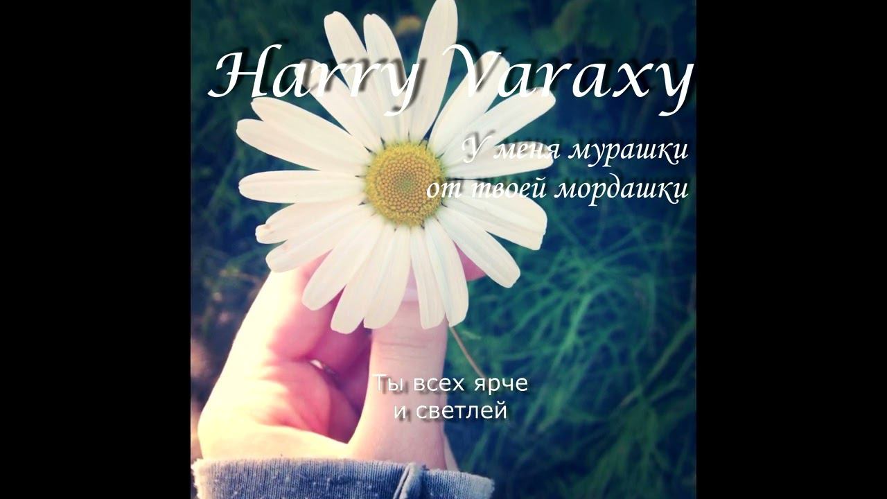 Harry Varaxy - У меня мурашки от твоей мордашки #музыка  #русскаямузыка #музыка2024 #песня #премьера