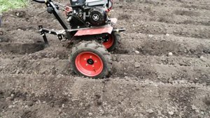 Посадка картофеля с помощью мотоблока Ока МБ 1д1