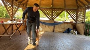 Как научить щенка команде рядом