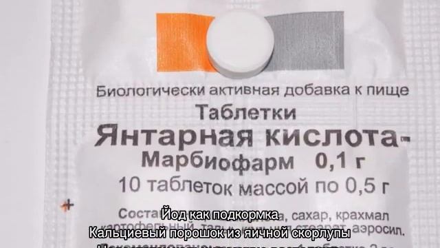 Чем подкормить фиалки для обильного цветения в домашних условиях