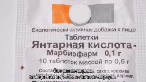 Чем подкормить фиалки для обильного цветения в домашних условиях