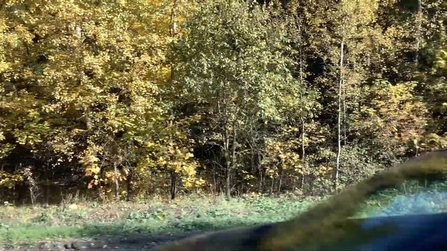 Поездка на автобусе 502 от посёлка Пироговский до Метро Медведково смотреть онлайн