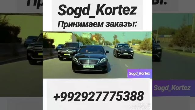 Кортеж в согдийской области Таджикистана.
