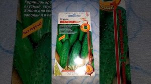 Огурец Веселые ребята- очень ранний и самоопыляемый, описание и ознакомление