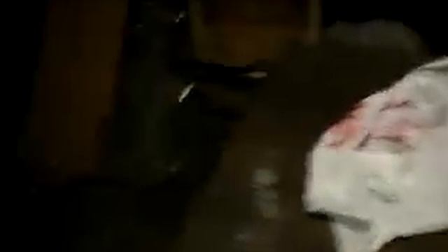 Ремонт гидронасоса Вольво. смотреть онлайн