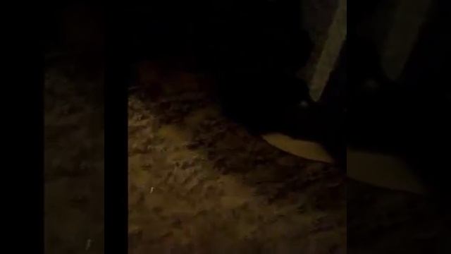 Зеркало в прихожке за 3 копейки своими руками. смотреть онлайн