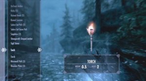 Skyrim ~ How To Have Unlimited Torch Use (Non-Follower Method)