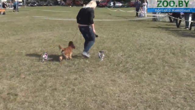 Best in Show!