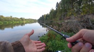 КОГДА ВСТАЛ НЕ С ТОЙ НОГИ! Щука, судак на спиннинг, рыбалка на реке