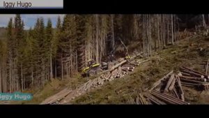 Харвестер Понссе Медведь