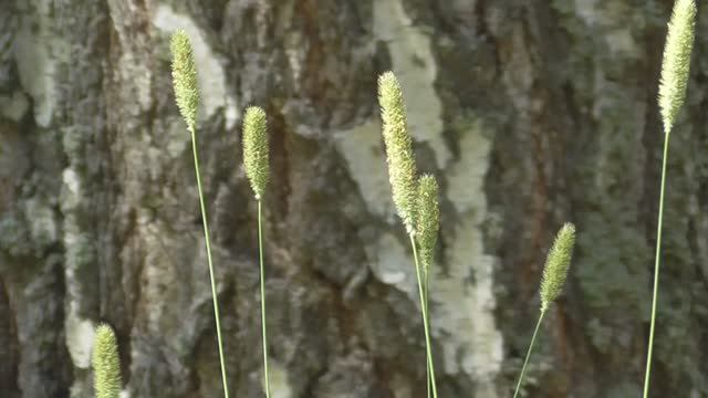 Страницы 2020 07 3. Серия 20-я