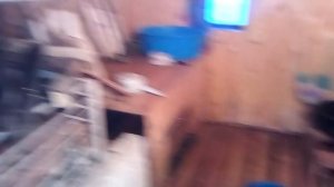 Баня// пристрой к дому// дрова// печь// керамзитные блоки//the bath