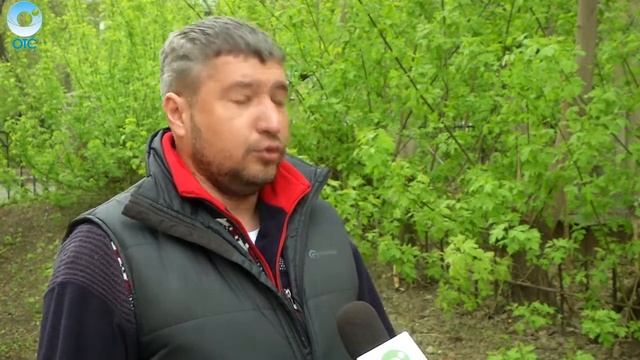 Джиперы организуют масштабную экологическую акцию в Караканском бору смотреть онлайн