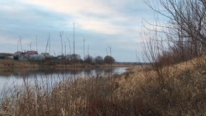 Воронеж река Усманка в ноябре 2021