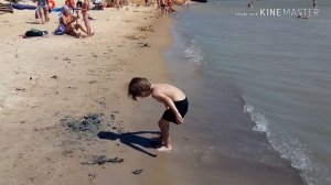 Отдых в посёлке Волна