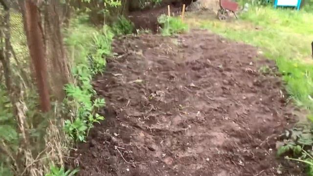 Дренаж с выводом в канаву